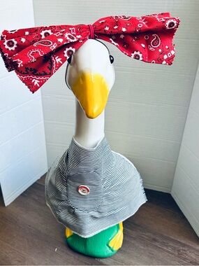 Bib bow & denim skirt for goose 24-27”